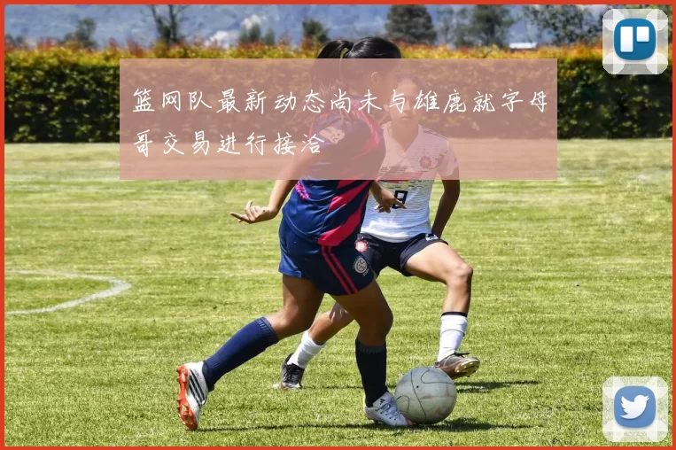 篮网队最新动态尚未与雄鹿就字母哥交易进行接洽